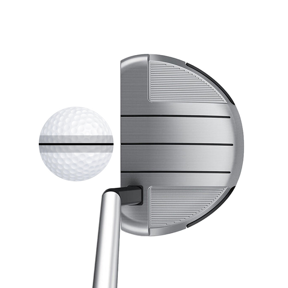 TaylorMade Spider GT Silver Marked Golf Balls