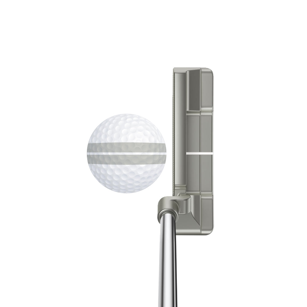 Ping Anser 2 Blade Marked Golf Balls