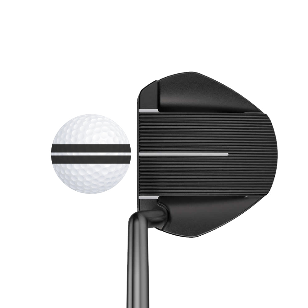Ping Fetch Marked Golf Balls