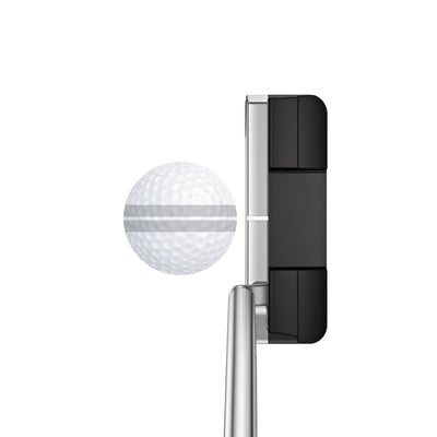 Ping Kushin 4 Marked Golf Balls